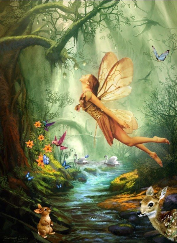 Fairies Miniature Enchanters of the Fae World